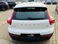 Volvo XC40 XC40 Plus Dark 2WD/Navi/Harman-Kardon Weiß - thumbnail 5