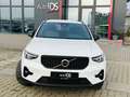 Volvo XC40 XC40 Plus Dark 2WD/Navi/Harman-Kardon Weiß - thumbnail 9