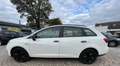 SEAT Ibiza ST Reference Im guten Zustand Weiß - thumbnail 2