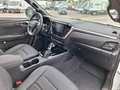 Isuzu D-Max 1.9 164cv crew N60F+ 4x4 A/T Pronta Consegna MY25 Blanc - thumbnail 8
