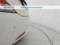 Lancia Ypsilon 1.2 Gold s&s 69cv my19 Bianco - thumbnail 9