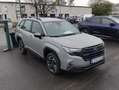 Subaru Forester Forester Comfort MY 25, (DE=TREND)  8 J. Garantie Grey - thumbnail 5