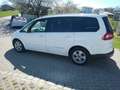Ford Galaxy Galaxy Business  TDCi DPF Aut. Business Stage V Weiß - thumbnail 5