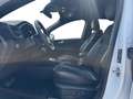 Ford Kuga 2.5 Duratec FHEV ST-Line X Auto 4WD Weiß - thumbnail 9