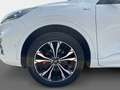 Ford Kuga 2.5 Duratec FHEV ST-Line X Auto 4WD Weiß - thumbnail 14