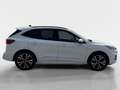 Ford Kuga 2.5 Duratec FHEV ST-Line X Auto 4WD Weiß - thumbnail 6