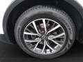 Volkswagen Tiguan 2.0 TDI DSG LIFE AHK KAMERA NAVI Weiß - thumbnail 7