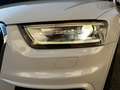 Audi Q3 Q3 2.0 tdi S-Line Edition140cv SENZA VINCOLI Weiß - thumbnail 7