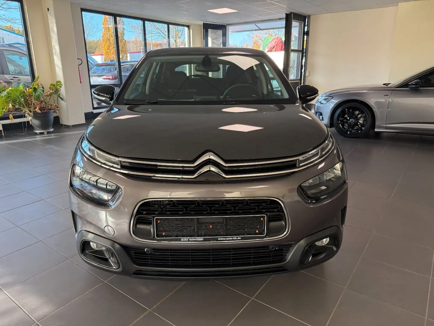 Citroen C4 Cactus Shine Grijs - 2