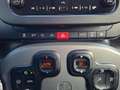 Fiat Panda 4x2 FireFly Hybrid 70 Plus "inkl. Winterräder" Grau - thumbnail 21