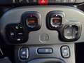 Fiat Panda 4x2 FireFly Hybrid 70 Plus "inkl. Winterräder" Grau - thumbnail 22