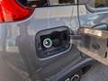 Fiat Panda 4x2 FireFly Hybrid 70 Plus "inkl. Winterräder" Grau - thumbnail 8