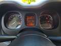 Fiat Panda 4x2 FireFly Hybrid 70 Plus "inkl. Winterräder" Grau - thumbnail 16