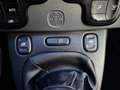 Fiat Panda 4x2 FireFly Hybrid 70 Plus "inkl. Winterräder" Grau - thumbnail 23