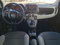 Fiat Panda 4x2 FireFly Hybrid 70 Plus "inkl. Winterräder" Grau - thumbnail 12