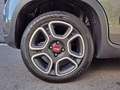 Fiat Panda 4x2 FireFly Hybrid 70 Plus "inkl. Winterräder" Grau - thumbnail 5