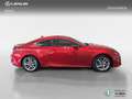 Lexus RC 300h EXECUTIVE Rot - thumbnail 15