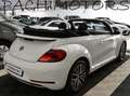 Volkswagen Maggiolino Cabrio 1.4 TSI AllStar BlueMotion Technology Bianco - thumbnail 12