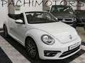 Volkswagen Maggiolino Cabrio 1.4 TSI AllStar BlueMotion Technology Bianco - thumbnail 13