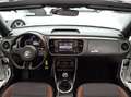 Volkswagen Maggiolino Cabrio 1.4 TSI AllStar BlueMotion Technology Bianco - thumbnail 5