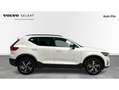 Volvo XC40 B3 Plus Aut. Blanco - thumbnail 5