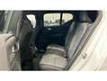 Volvo XC40 B3 Plus Aut. Blanco - thumbnail 10