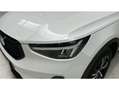 Volvo XC40 B3 Plus Aut. Blanco - thumbnail 29