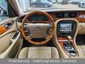 Jaguar Daimler Super Eight V8 aus 2. Hand im Topzustand Blau - thumbnail 13