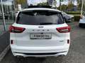 Ford Kuga 2.5 PHEV ST-Line X Black Pack 243pk e-CVT Automaat Blanco - thumbnail 9