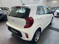 Kia Picanto Edition 7*KLIMA , LENKRADHEIZUNG , SITZHEIZUNG* Weiß - thumbnail 4