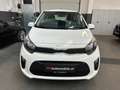 Kia Picanto Edition 7*KLIMA , LENKRADHEIZUNG , SITZHEIZUNG* Weiß - thumbnail 2