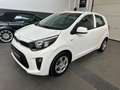 Kia Picanto Edition 7*KLIMA , LENKRADHEIZUNG , SITZHEIZUNG* Weiß - thumbnail 3