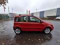 Fiat Panda 1.2 Emotion LEUKE AUTO RIJDT EN SCHAKELT GOED Rood - thumbnail 4