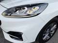 Ford Kuga ST-LINE X 2,5 DURATEC PHEV Aut. *VOLL LED / 18 ... Weiß - thumbnail 13