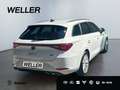 SEAT Leon ST 2.0 TDI DSG FR *LED*AHK*ACC*SHZ*Navi*PDC* Weiß - thumbnail 18