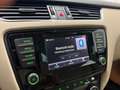 Skoda Octavia Combi 1,6 Elegance TDI Green tec DSG Braun - thumbnail 28