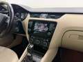 Skoda Octavia Combi 1,6 Elegance TDI Green tec DSG Braun - thumbnail 36
