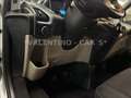 Ford Tourneo Custom Kombi 300 L2 Titanium/9Sitz/AC Silber - thumbnail 49