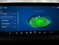 Ford Kuga 2.5 Duratec FHEV Active AWD Aut. Verde - thumbnail 13