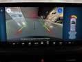 Ford Kuga 2.5 Duratec FHEV Active AWD Aut. Verde - thumbnail 10
