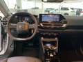 Citroen C4 1.2 Mild-Hybrid 145 Max (EURO 6e) Weiß - thumbnail 7