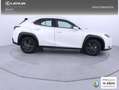 Lexus UX 300h 2.0  Plus Blanco - thumbnail 21