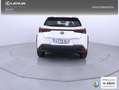 Lexus UX 300h 2.0  Plus Blanco - thumbnail 4