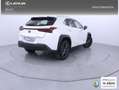 Lexus UX 300h 2.0  Plus Blanco - thumbnail 22