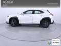 Lexus UX 300h 2.0  Plus Blanco - thumbnail 3