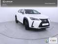 Lexus UX 300h 2.0  Plus Blanco - thumbnail 23