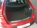 SEAT Leon CUPRA 300 4DRIVE|Beats|Brembo|ACC|Virtual|Pano| Rouge - thumbnail 12