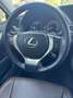 Lexus GS 300 GS 300 300h Business Line Szürke - thumbnail 10