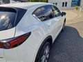 Mazda CX-5 CX-5 SKYACTIV-G 194 FWD Aut. Sports-Line Blanc - thumbnail 7