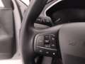 Ford Focus 1.0 ecoboost h Design 125cv powershift Grigio - thumbnail 14